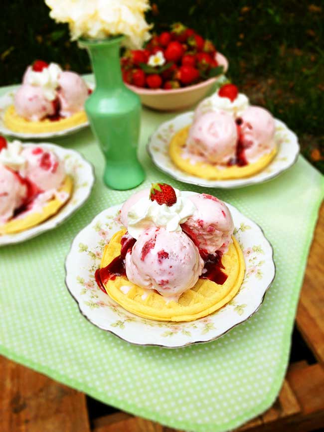 sugar free homemade strawberry ice cream