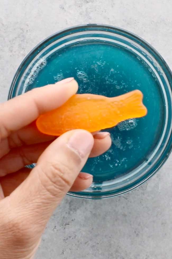 Mini Jello Fish Bowls Mighty MrsMighty Mrs